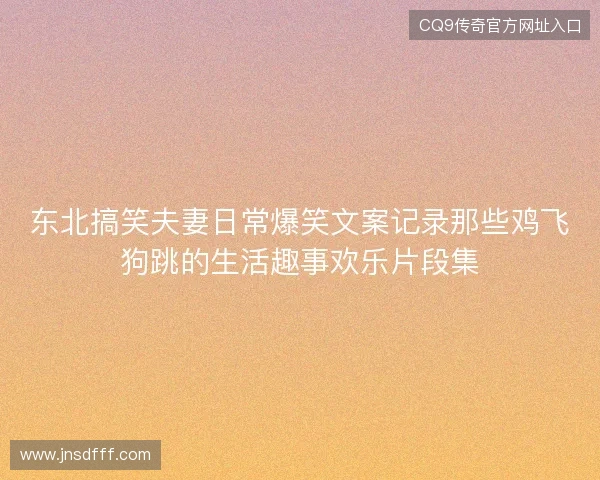 东北搞笑夫妻日常爆笑文案记录那些鸡飞狗跳的生活趣事欢乐片段集